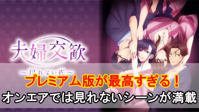 夫婦交歓プレミアム版 (1)