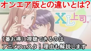 XL上司の規制解除は1番コスパ良く見る方法をご紹介します！プレミアム版とオンエアの違いを表でまとめてます
