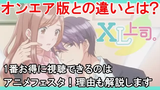 XL上司の規制解除は1番コスパ良く見る方法をご紹介します！プレミアム版とオンエアの違いを表でまとめてます