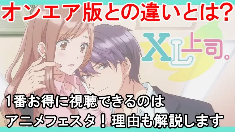 XL上司の規制解除は1番コスパ良く見る方法をご紹介します！プレミアム版とオンエアの違いを表でまとめてます