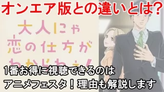 大人にゃ恋の仕方がわからねぇの規制解除のを見る方法は？プレミアム版とオンエアの違いをまとめました